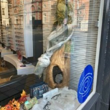 Masterson Opticians | Gallery